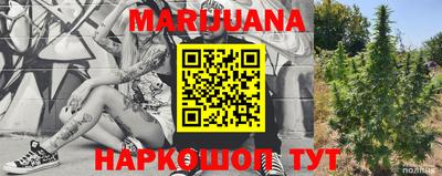 гашик Шахты