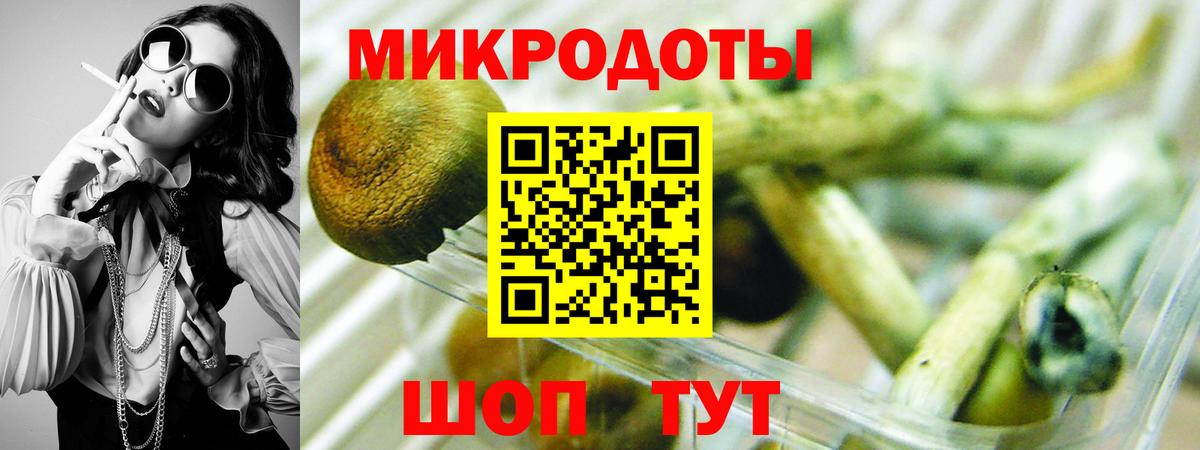 Псилоцибиновые грибы GOLDEN TEACHER  Вход с VPN  Галлюциногенные грибы мицелий  Мурманск 