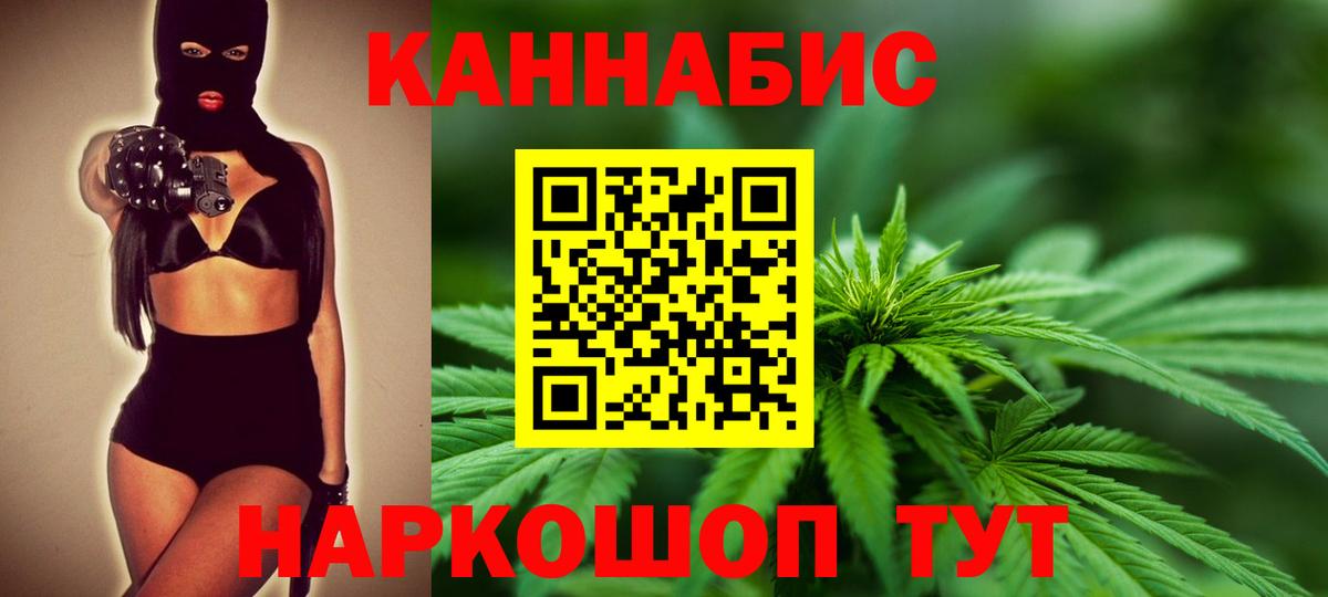 Бошки Шишки план Мурманск
